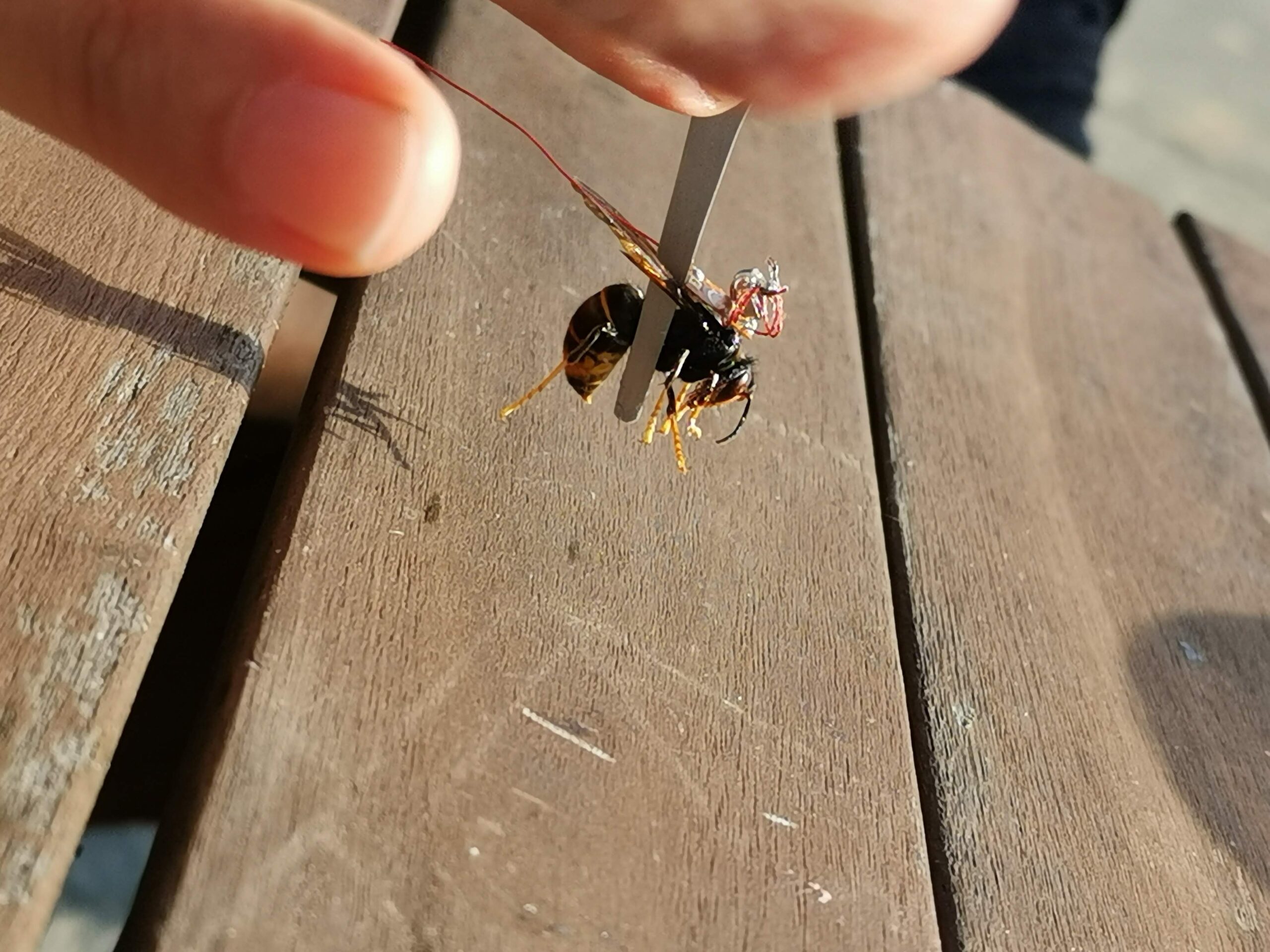 Micro-integrated systems